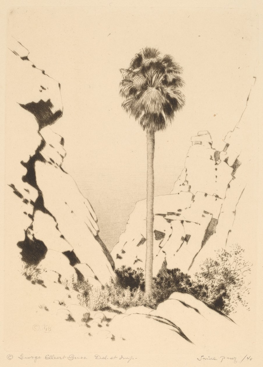 Palm Canyon (nr 1) av George Elbert Burr