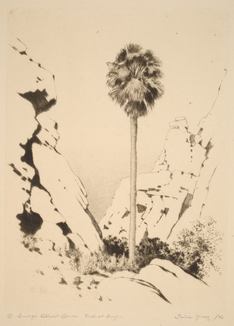 Palm Canyon (nr 1) av George Elbert Burr