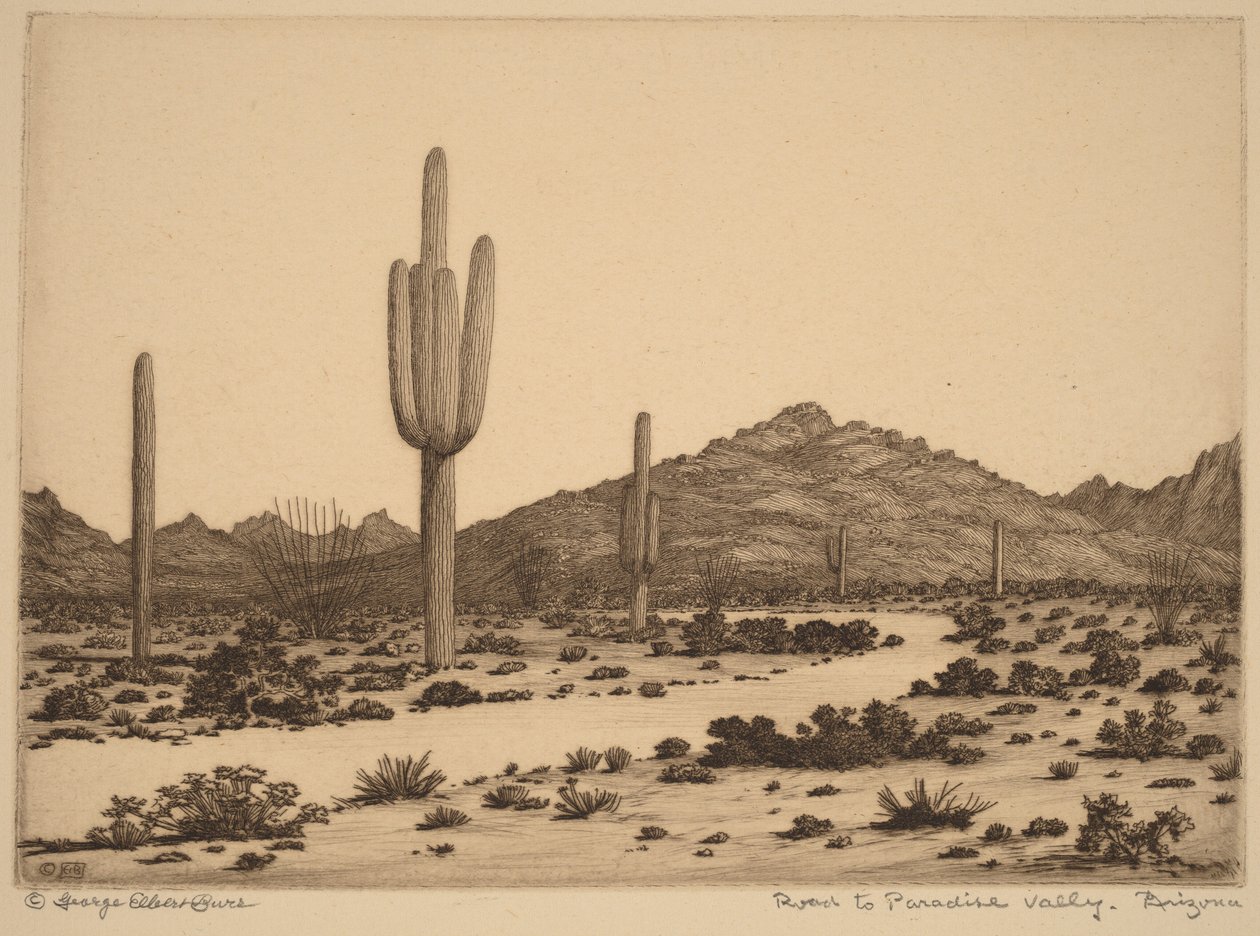 Vägen till Paradise Valley, Arizona av George Elbert Burr