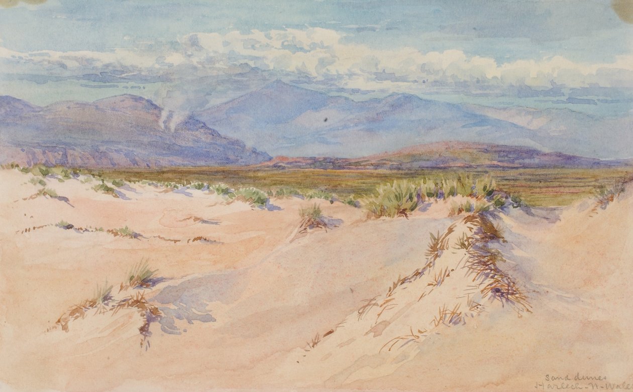 Sanddyner, Harlech, norra Wales av George Elbert Burr
