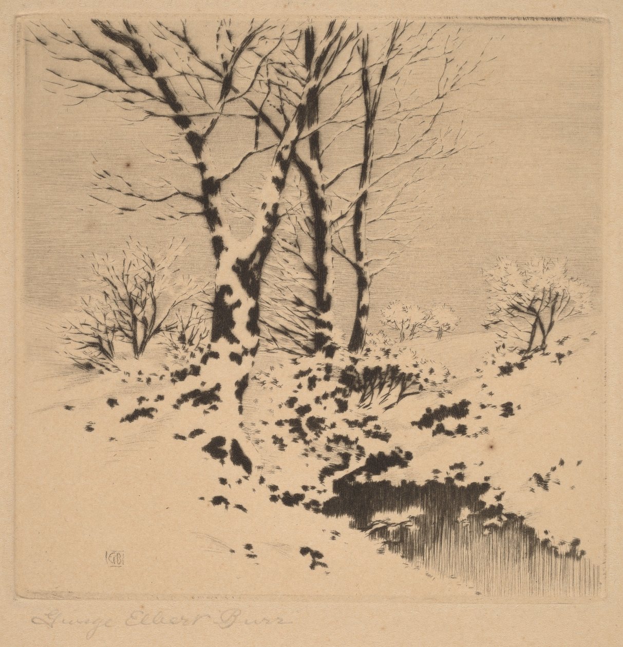 Snö av George Elbert Burr