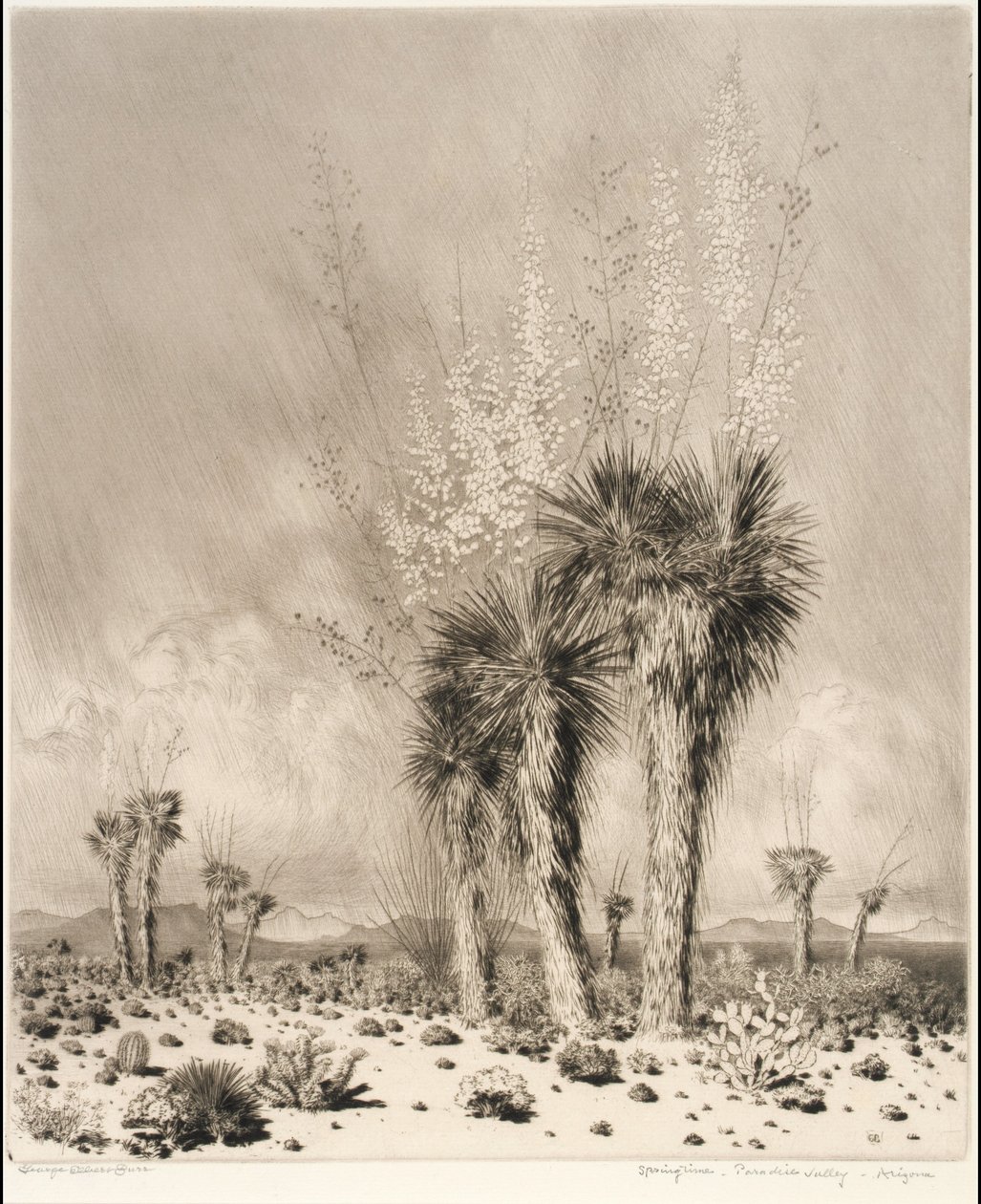 Vår, Paradise Valley, Arizona av George Elbert Burr