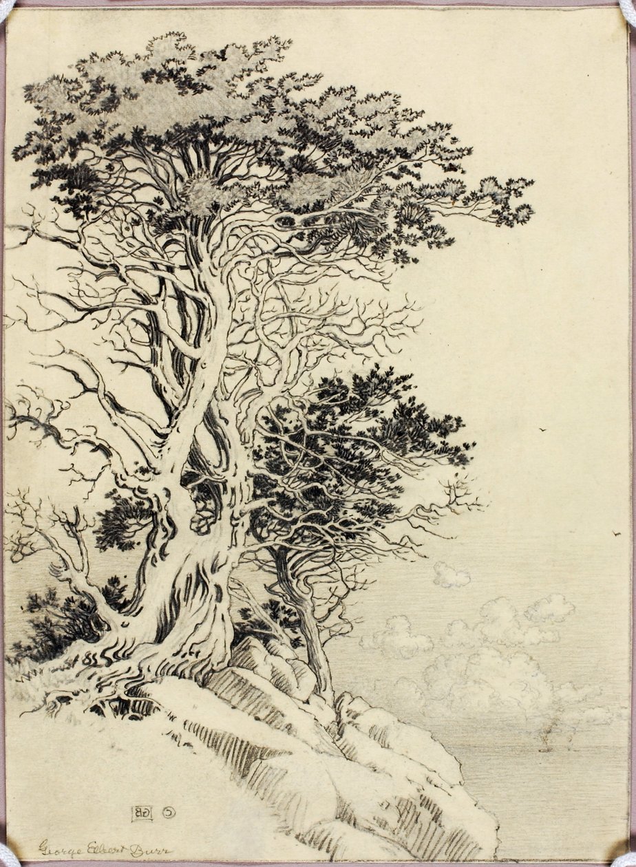 Utan titel (teckning för tryck) av George Elbert Burr