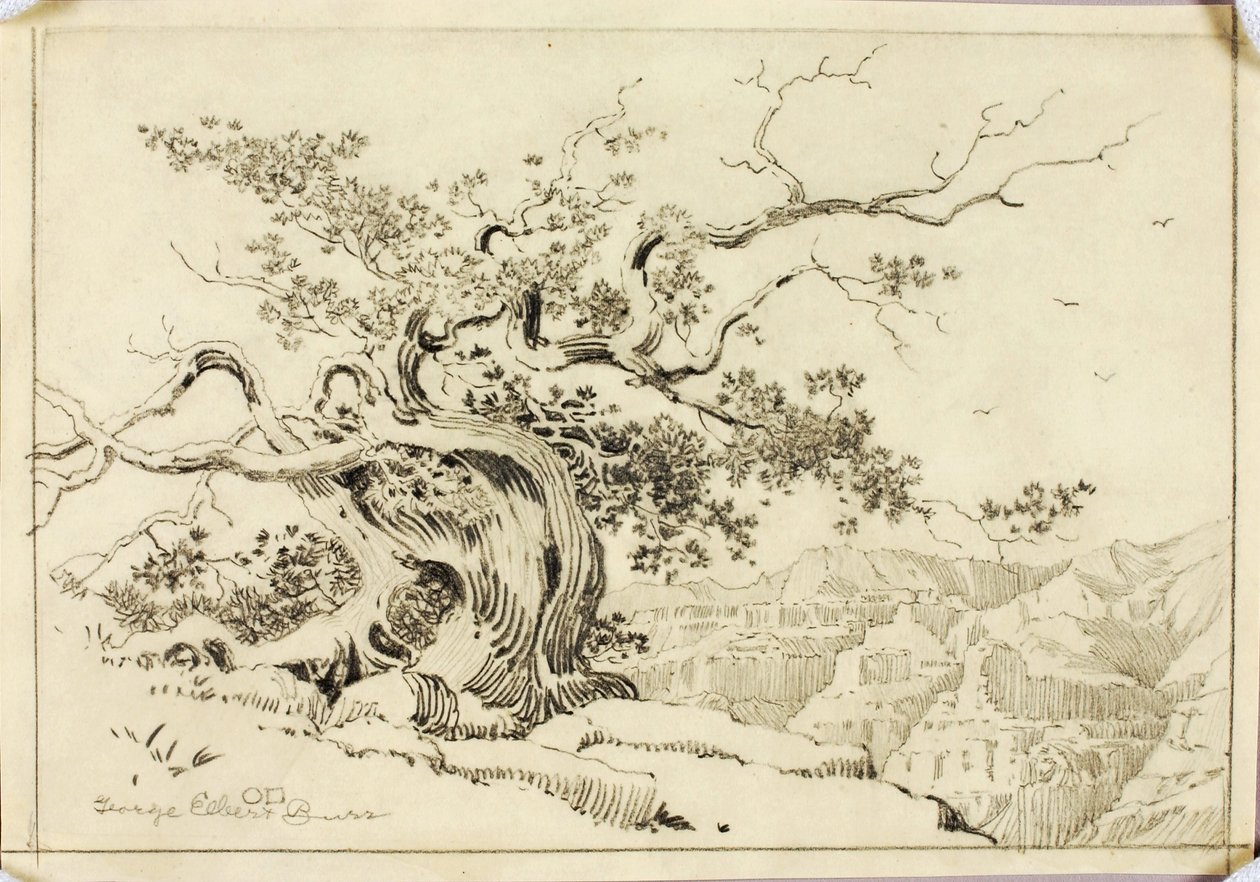 Utan titel (överföringsteckning till Kväll, Apache Trail, Arizona) av George Elbert Burr