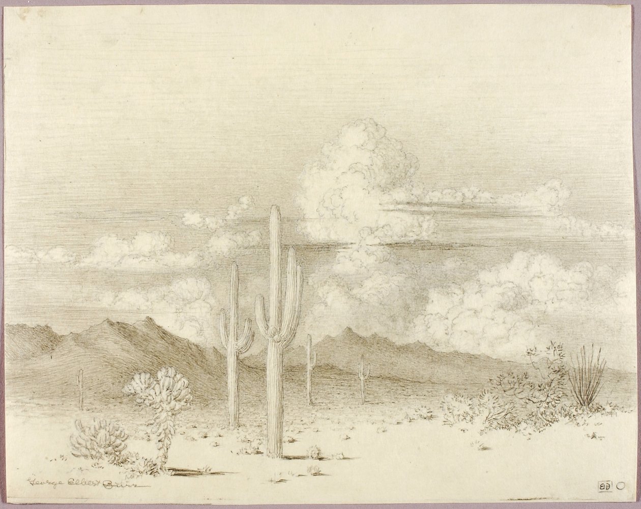Utan titel (överföringsteckning till Kväll, Paradise Valley, Arizona) av George Elbert Burr