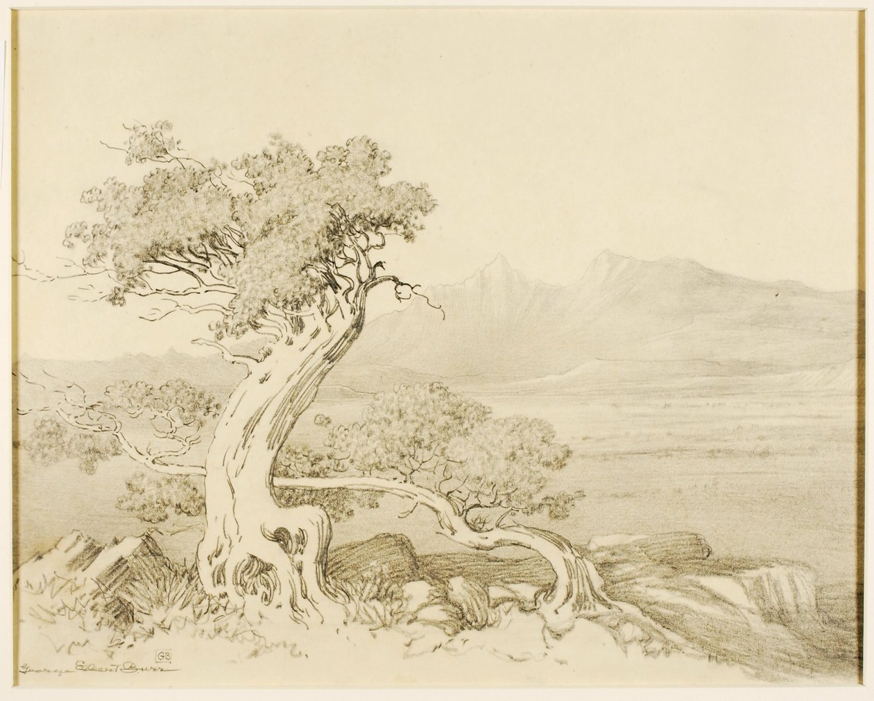 Utan titel (överföringsritning för Old Cedars och Spanish Peaks) av George Elbert Burr