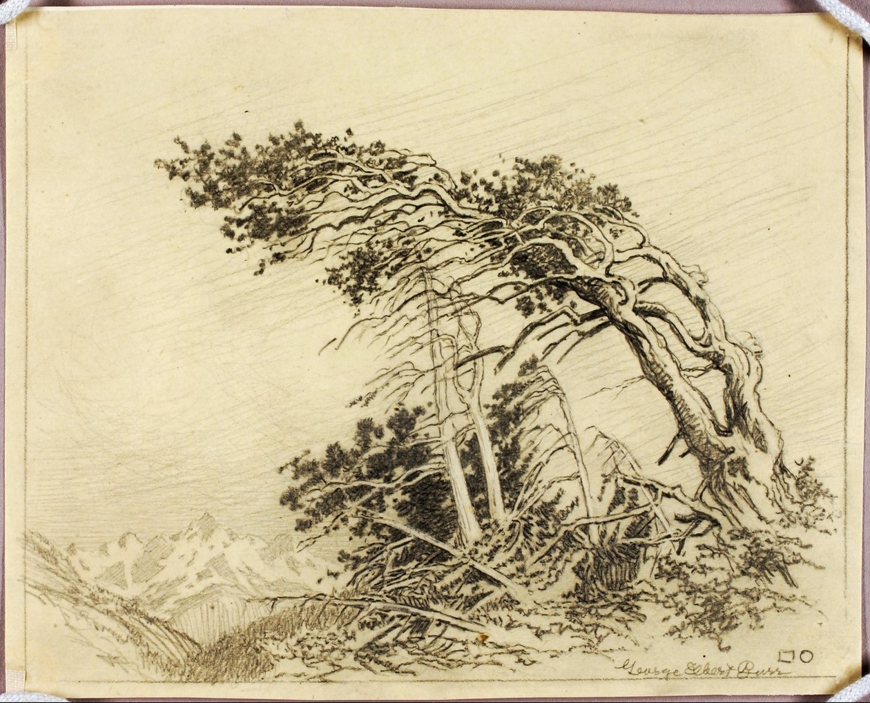 Utan titel (överföringsritning till The Home of the Winds [nr 1]) av George Elbert Burr
