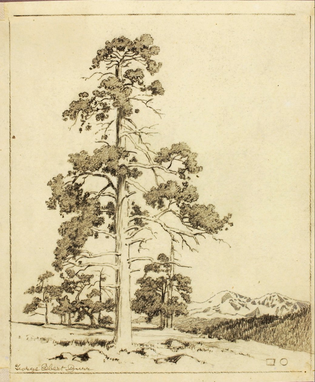 Utan titel (överföringsteckning för tryck) av George Elbert Burr