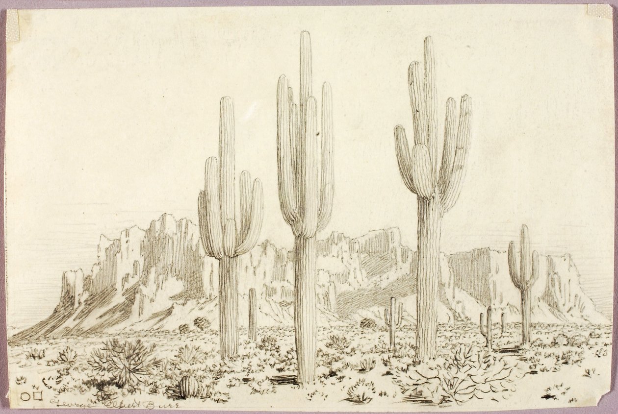 Utan titel av George Elbert Burr