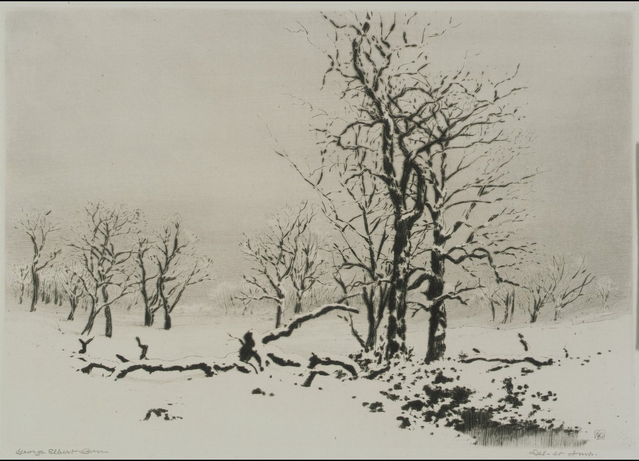 Vinter (nr 1) av George Elbert Burr