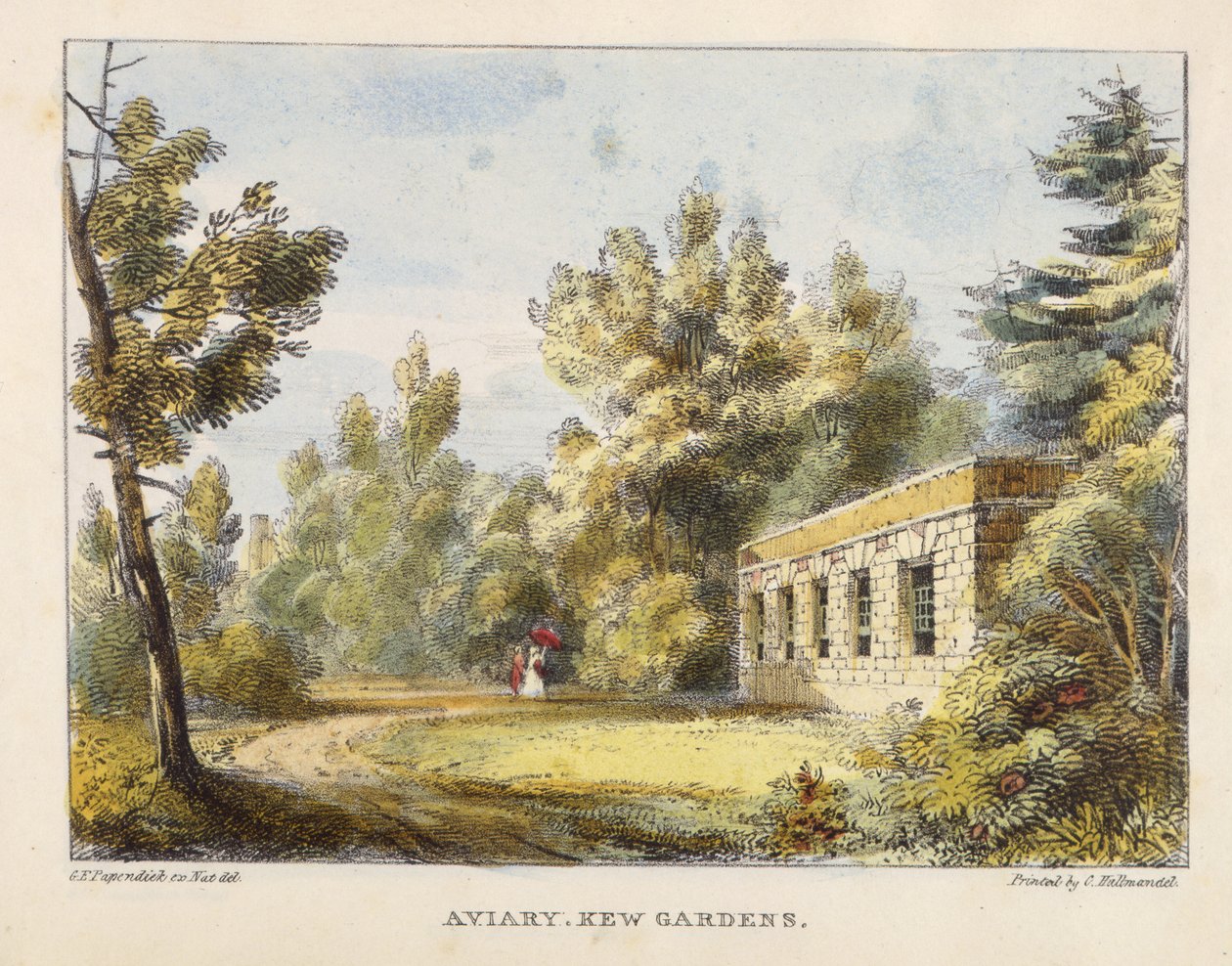 Aviary, Kew Gardens, skylt 10 från Kew Gardens: A Series of Twenty-Four Drawings on Stone, graverad av Charles Hullmandel (1789-1850) publicerad 1820 (handfärgad lito) av George Ernest after Papendiek