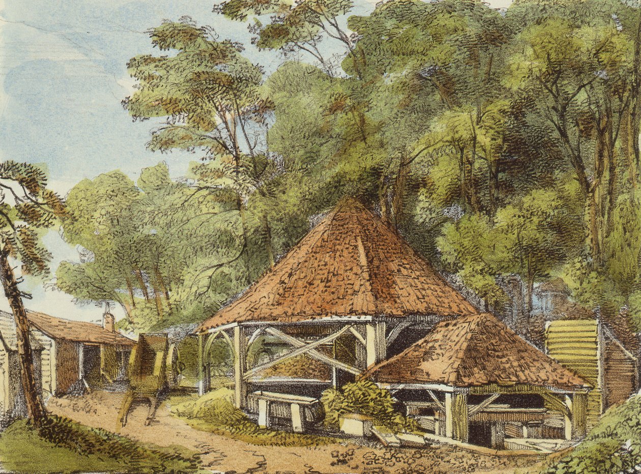 Water Works, Kew Gardens, plåt 22 från Kew Gardens: A Series of Twenty-Four Drawings on Stone, graverad av Charles Hullmandel (1789-1850) publicerad 1820 (handfärgad lito) av George Ernest after Papendiek