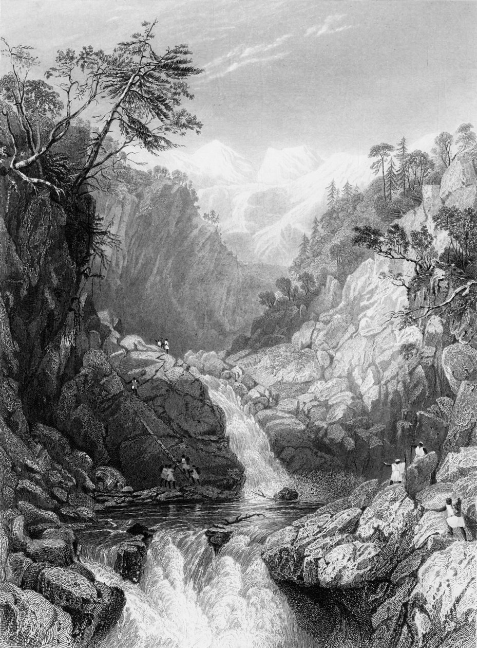 swedish av George Francis White