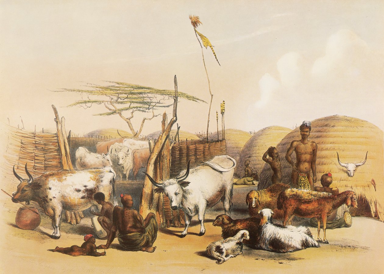 En Zulu kraal vid Umgaki-floden i Natal av George French Angas