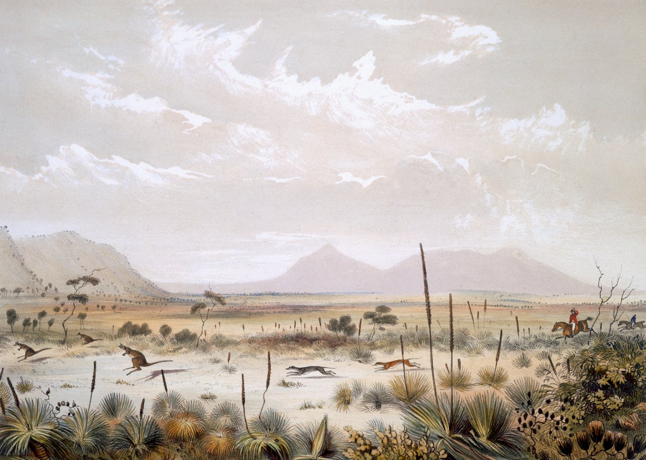Kangaroo Hunting near Port Lincoln, från 