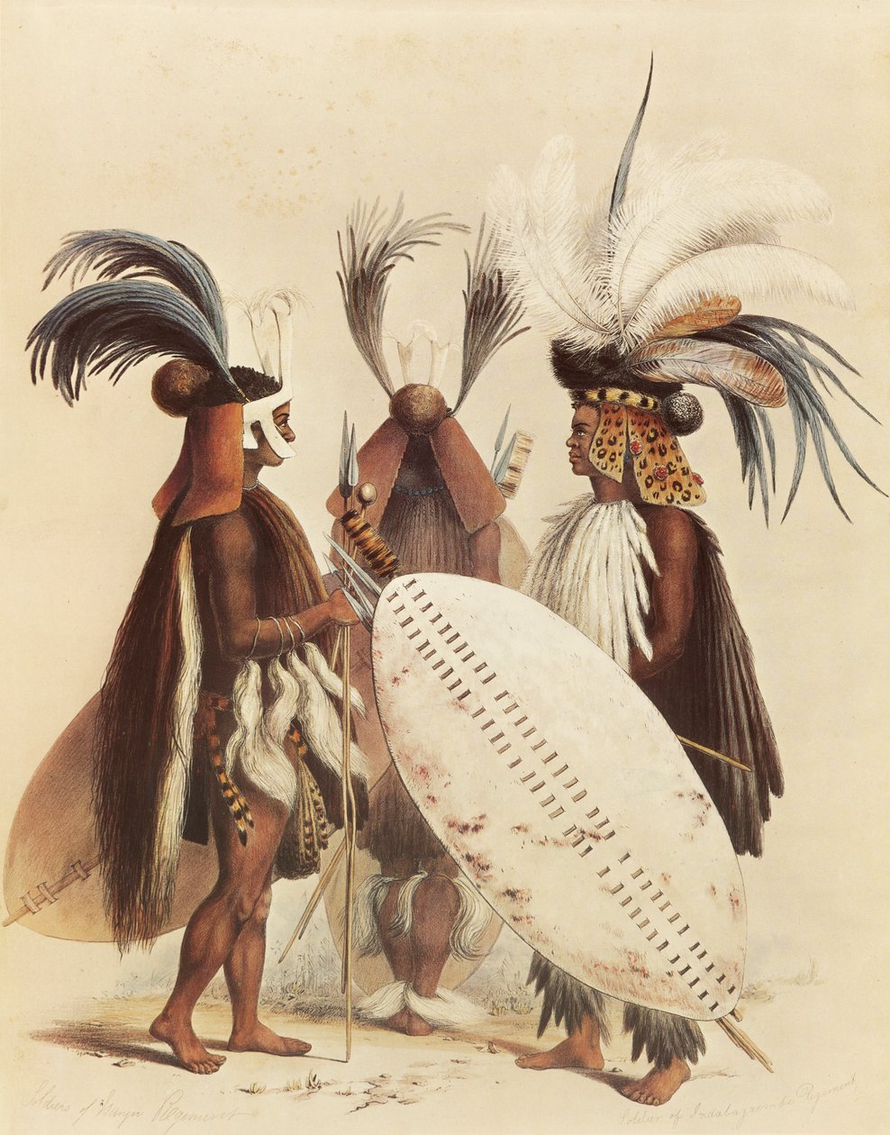 Zulu-armén av George French Angas
