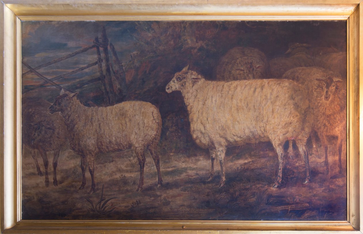 Förbättringen av South Down Breed av får i Holkham i Norfolk, 1793-1807 av George Garrard