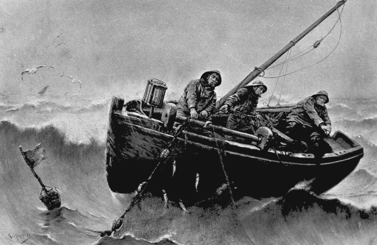 Sillfiske. Illustration av Haquette, Georges Jean Marie (1854 - 1906). Bläck. av George Haquette
