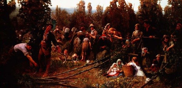 Samla druvor av George Harcourt Sephton