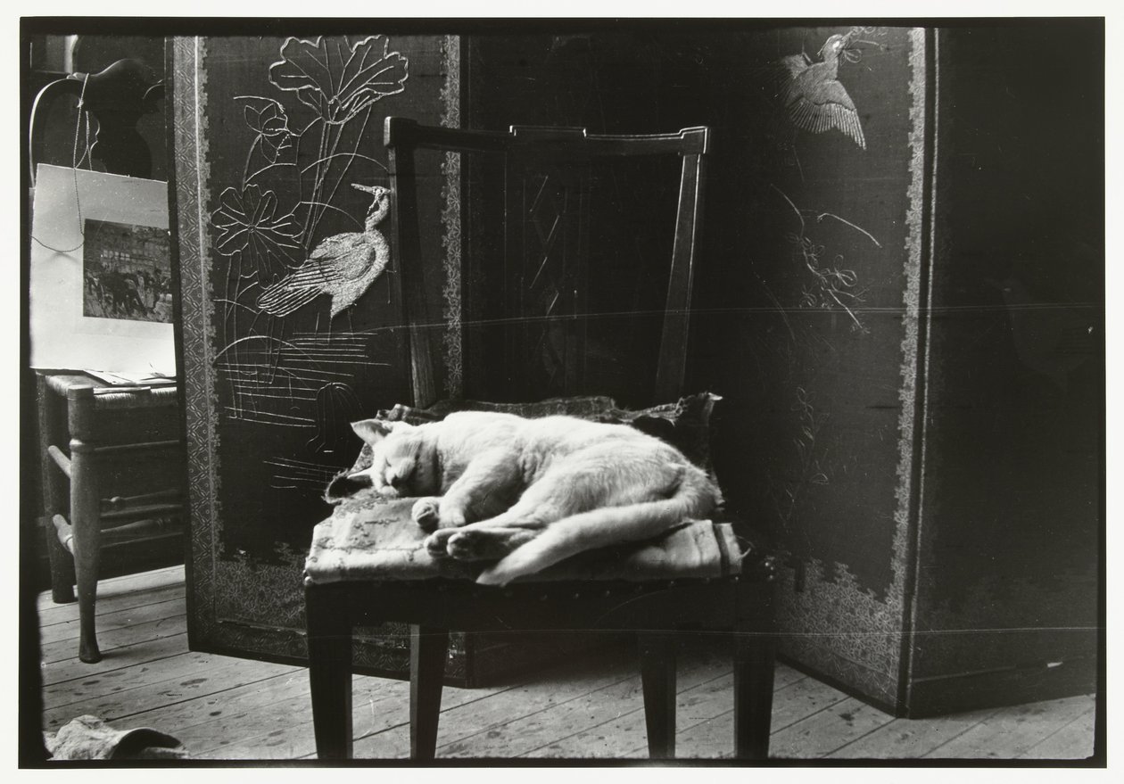 Katt på en stol i Breitners studio i Amsterdam av George Hendrik Breitner