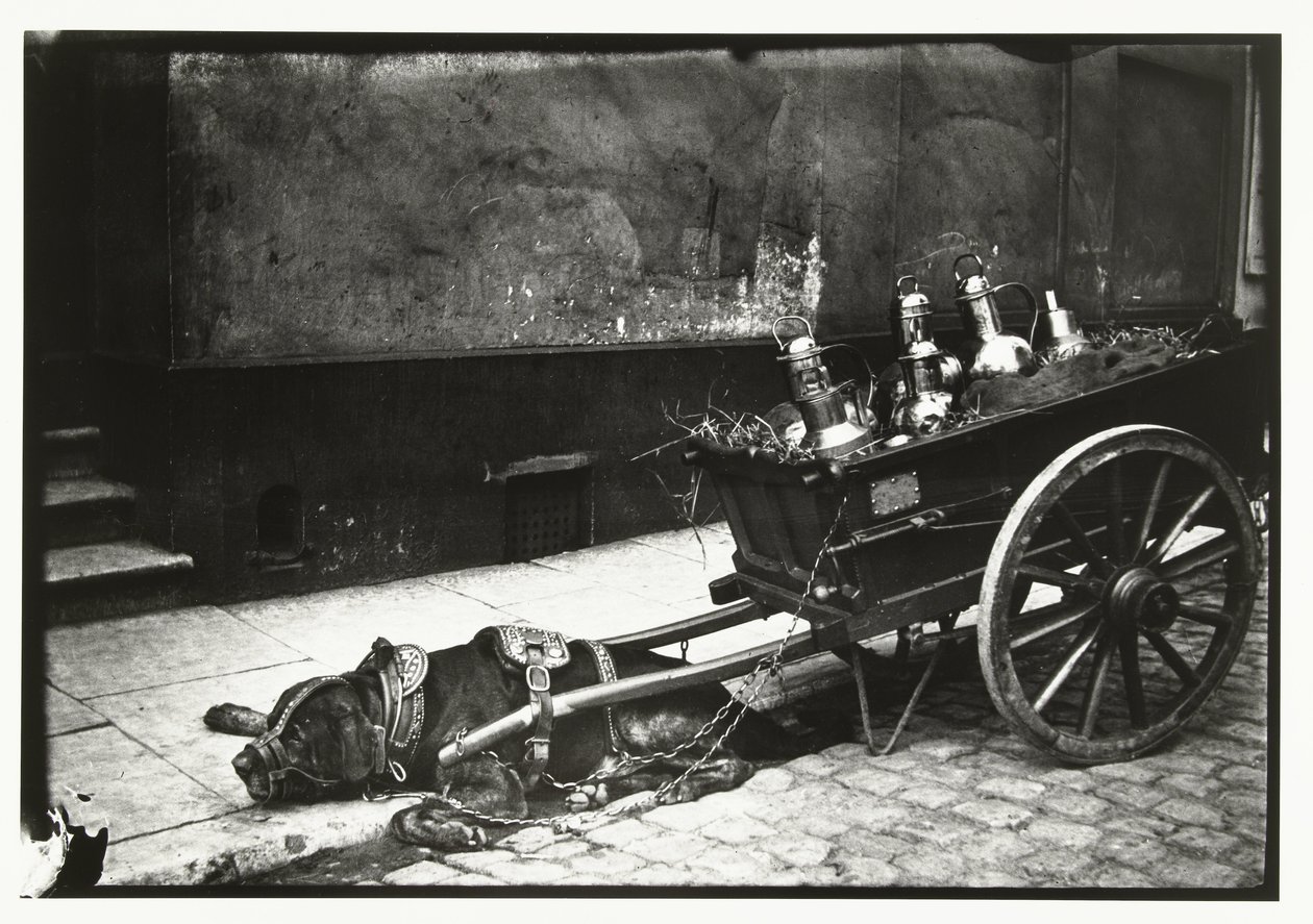 Draghund sträckt framför en vagn med bussar av George Hendrik Breitner
