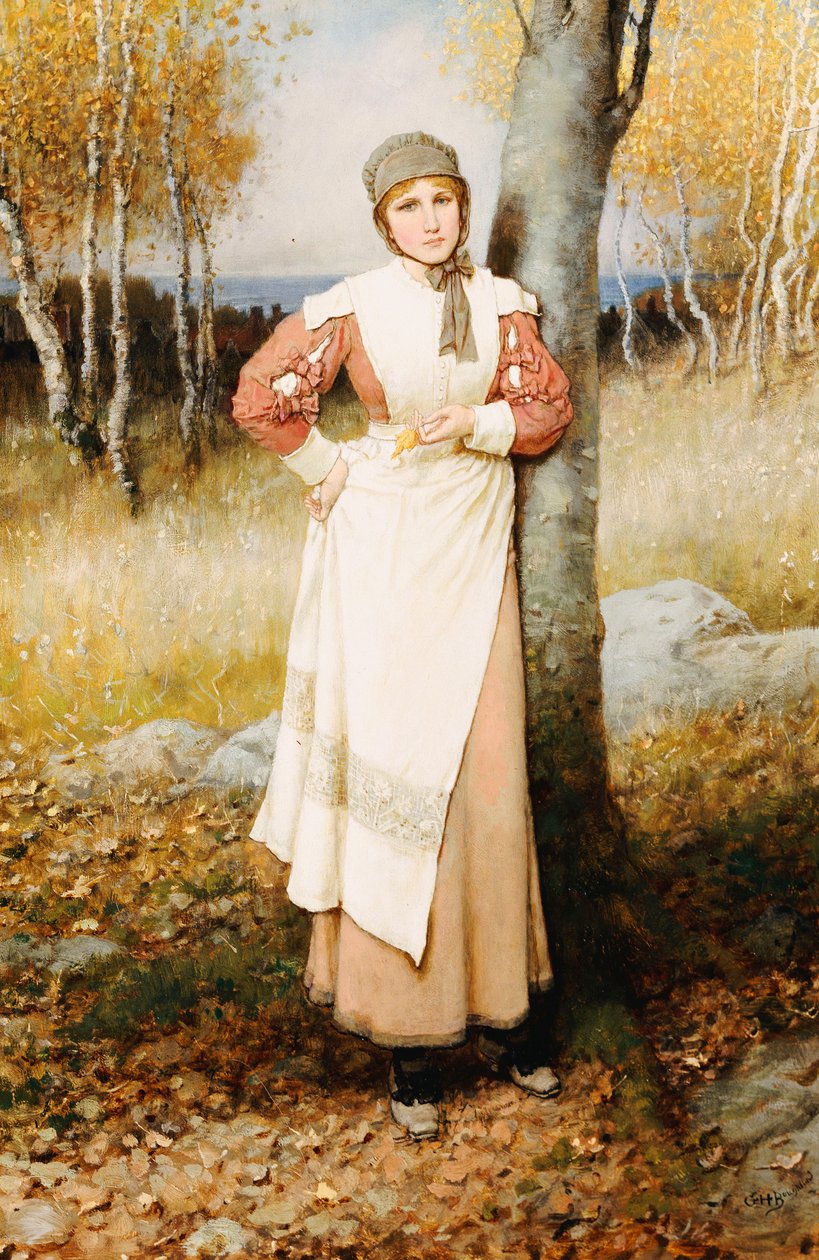 En ros i New England av George Henry Boughton