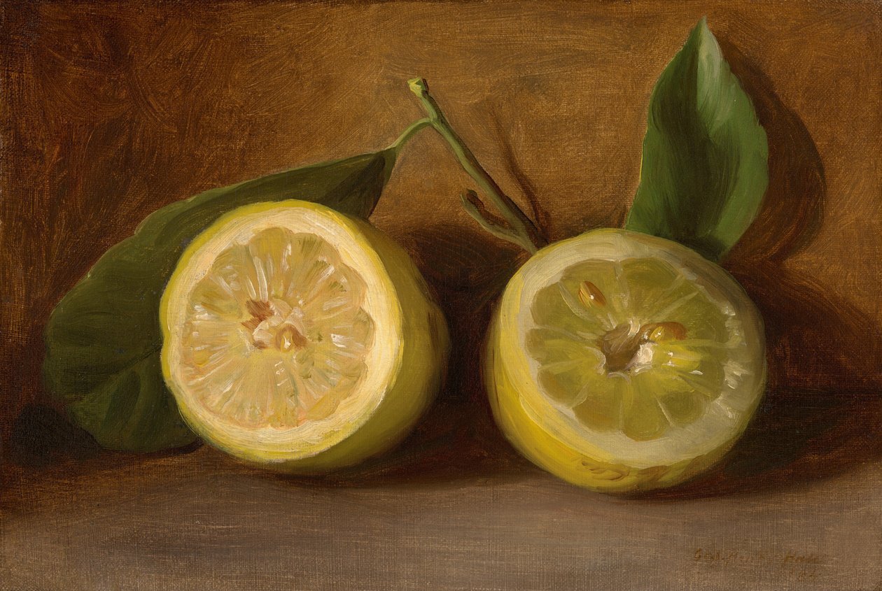 Citroner av George Henry Hall