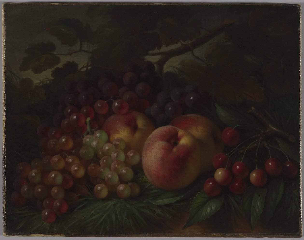 Persikor, vindruvor och körsbär, ca 1860-70 (olja på duk) av George Henry Hall