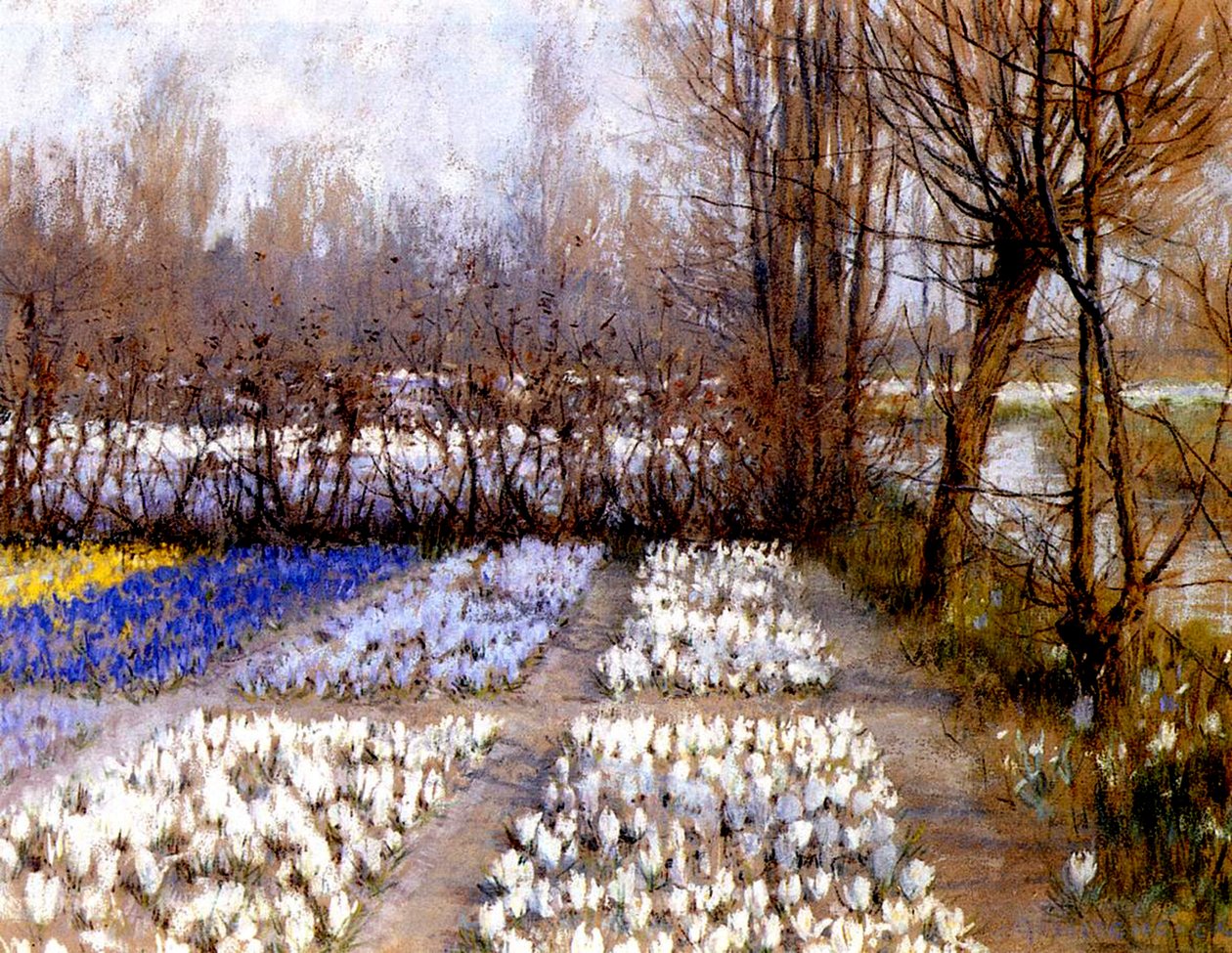 A Crocus Field in Spring, c.1889 (pastell på papper) av George Hitchcock