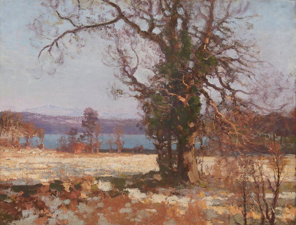 Winter Sunshine (olja på duk) av George Houston