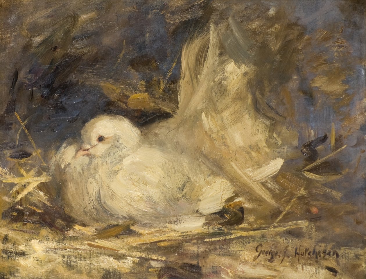 Den brodande duvan av George Jackson Hutchison