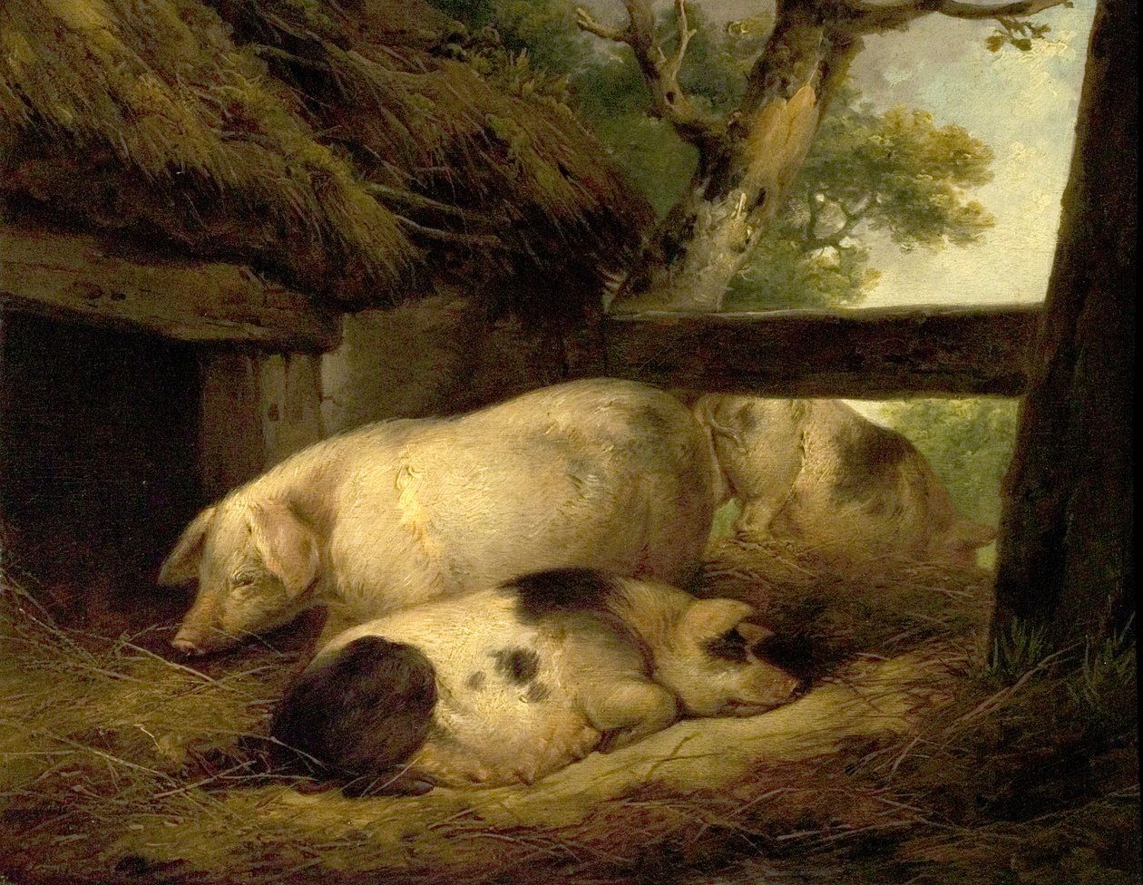 Studie av grisar av George Morland