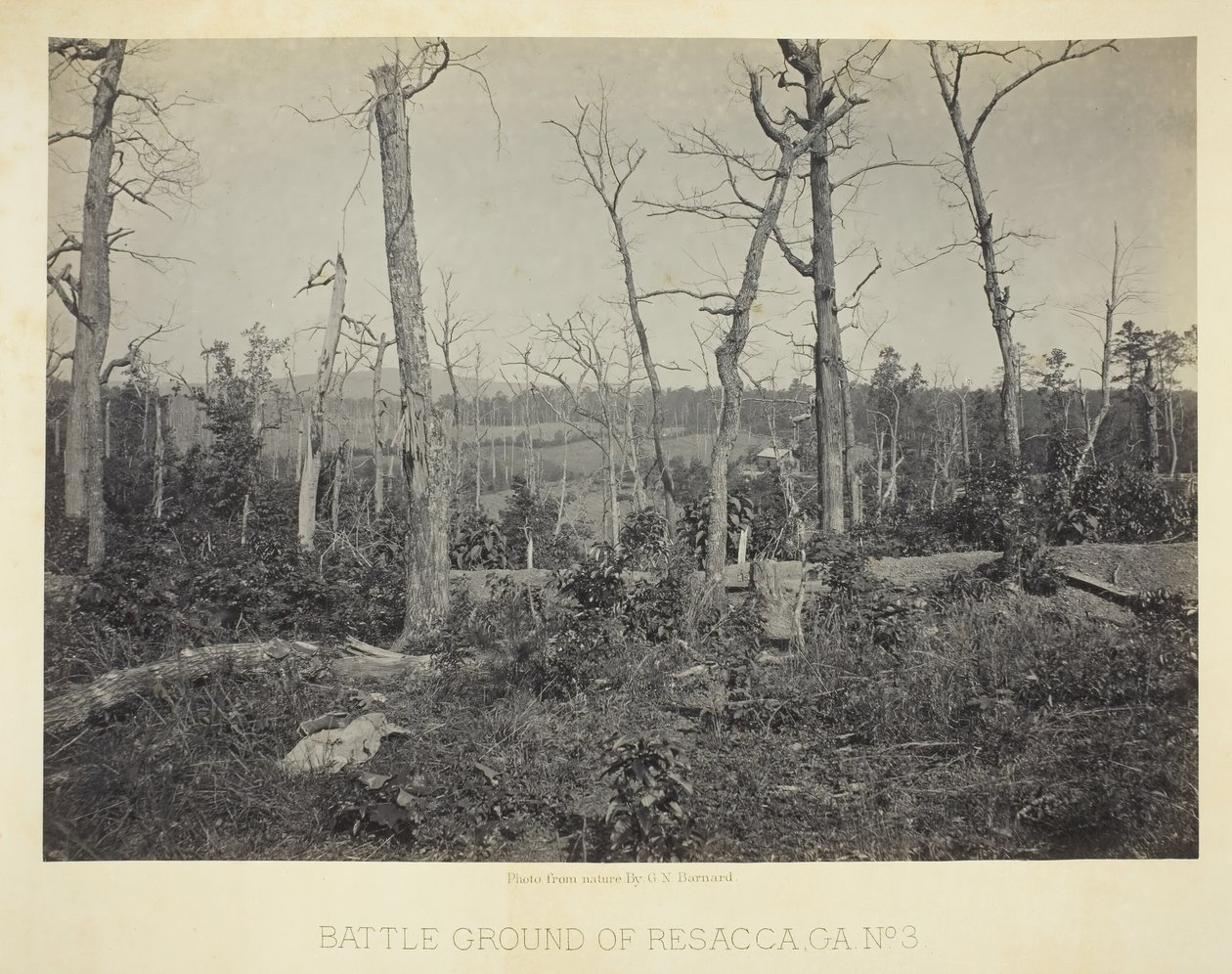 Battle Ground of Resacca, GA, nr 3, 1866. av George N. Barnard