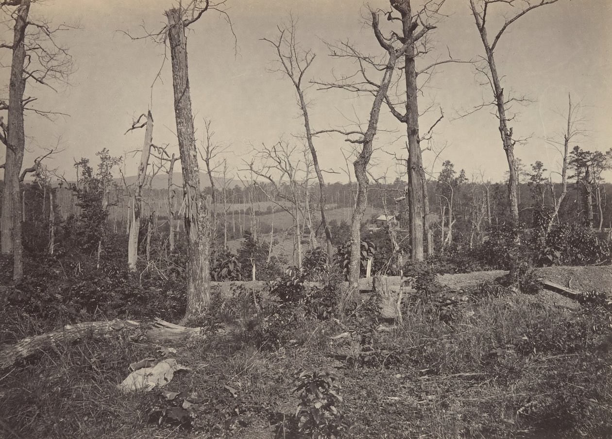 Battle Ground of Resacca, Georgia nr 3, 1860-talet. av George N. Barnard