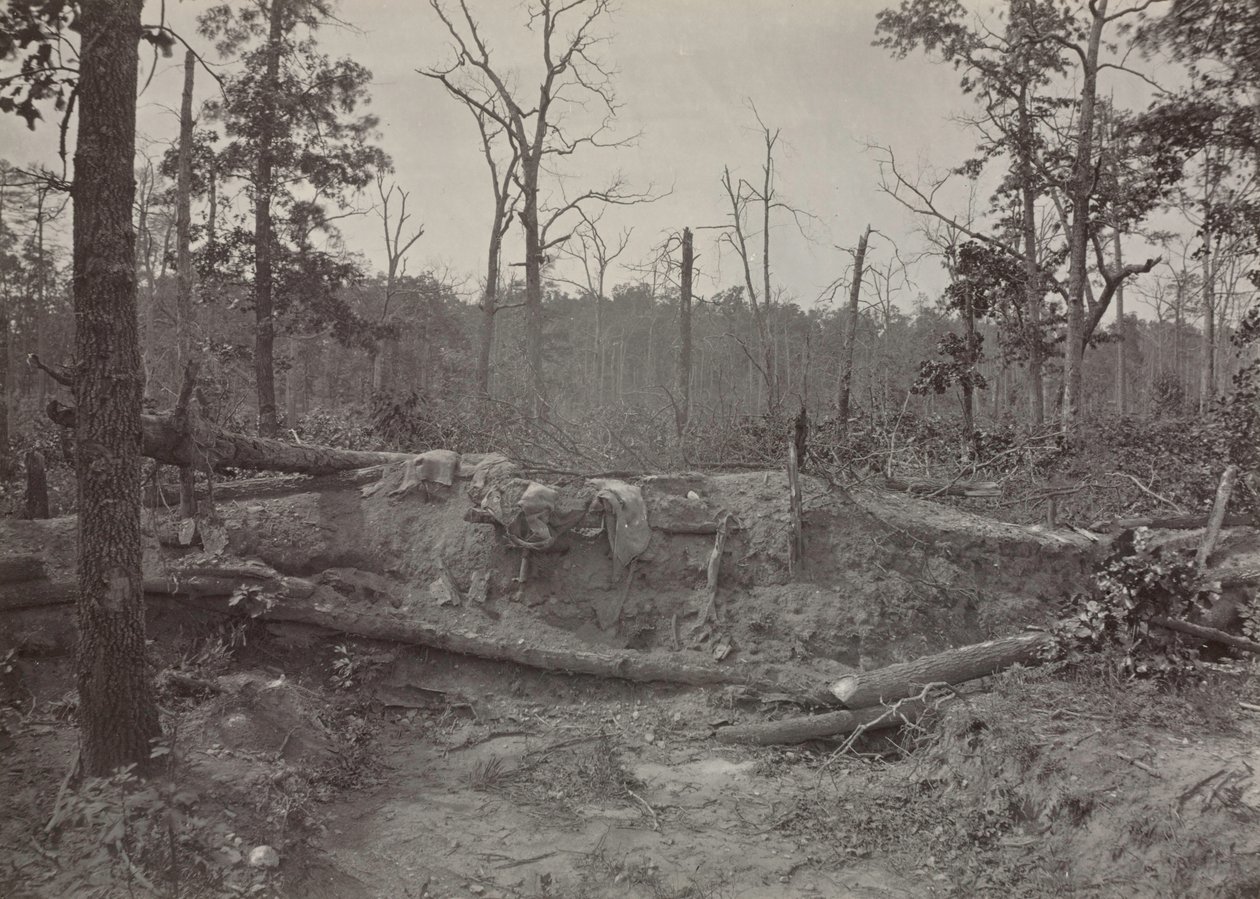 Battlefield of New Hope Church, Georgia, nr 2, 1865-1866. av George N. Barnard