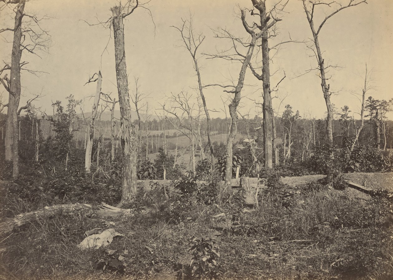 Slagfältet vid Resaca, Georgia, nr 3,1864 (foto) av George N. Barnard