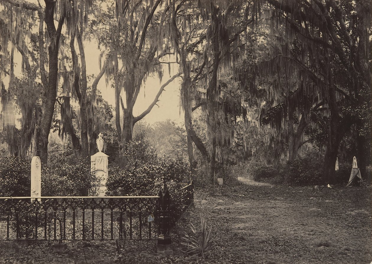 Bonaventure, Savannah, Georgia, 1860-talet. av George N. Barnard