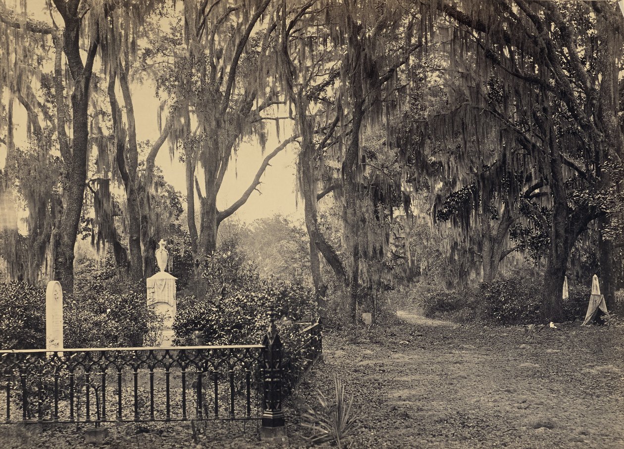 [Buen-Ventura, Savannah, Georgia] av George N. Barnard