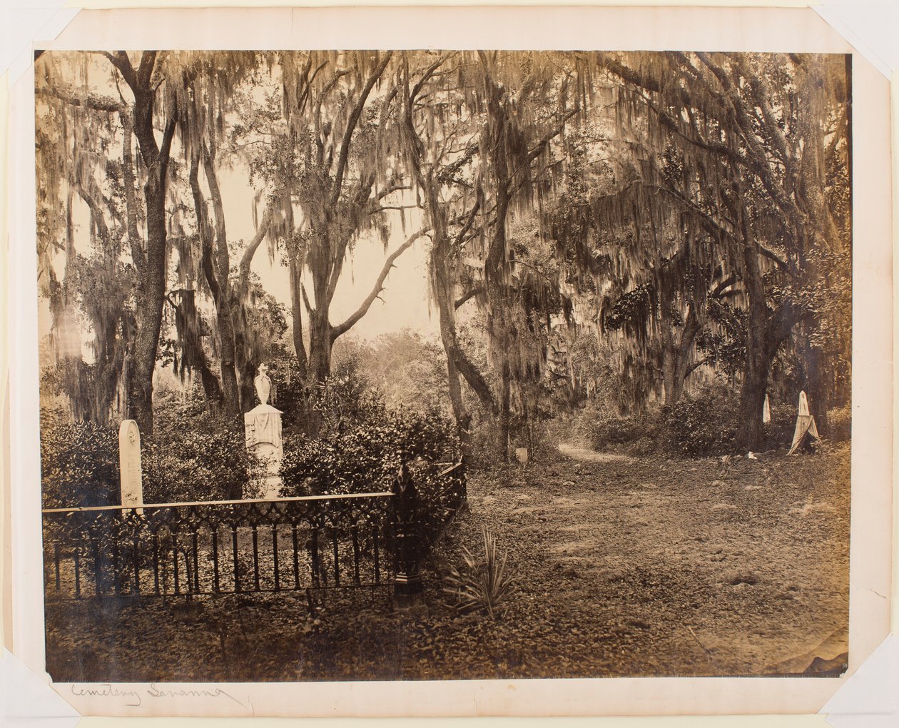 Buen-Ventura, Savannah, Georgia av George N. Barnard