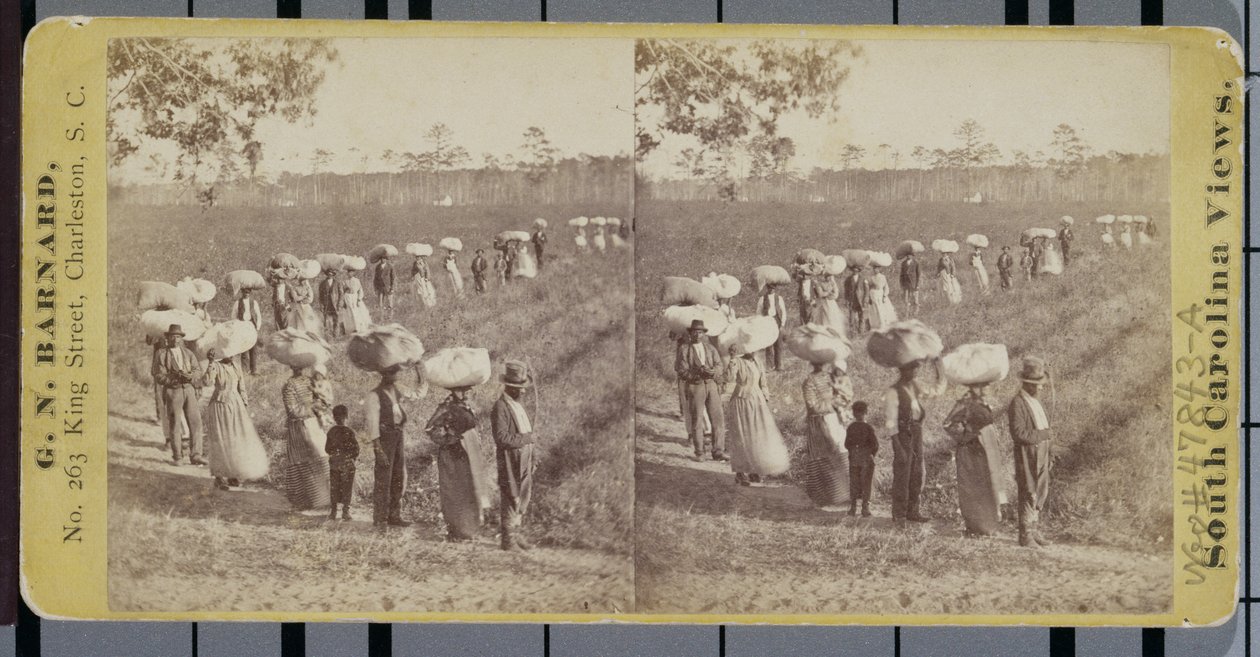 Återvänder från Cottonfields i South Carolina (stereograf) av George N. Barnard