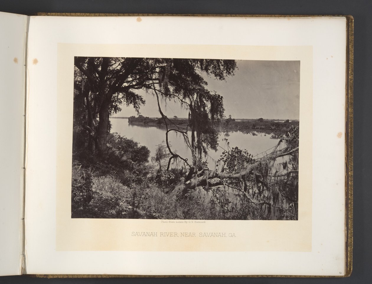 Savannahfloden, nära Savannah, Georgia av George N. Barnard