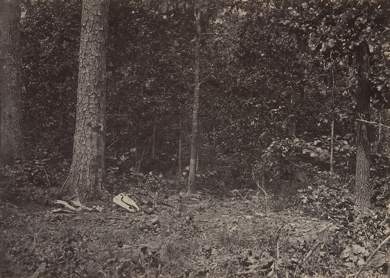 Scen för General McPhersons död, 1864 eller 1866. av George N. Barnard