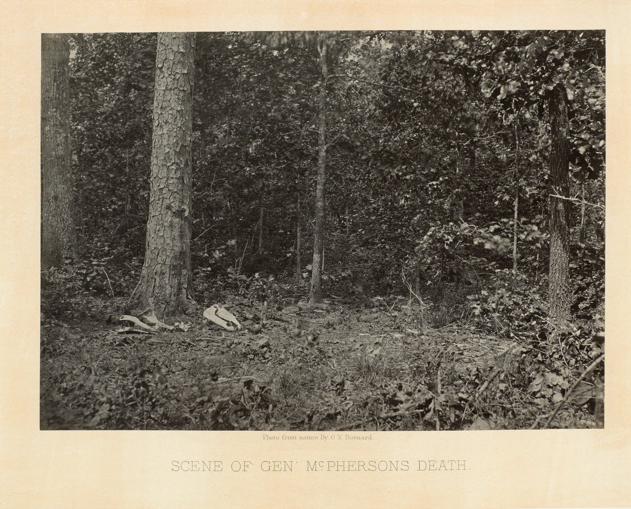 Scen för General McPhersons död, Georgia, från fotografiska vyer av Shermans kampanj av George N. Barnard