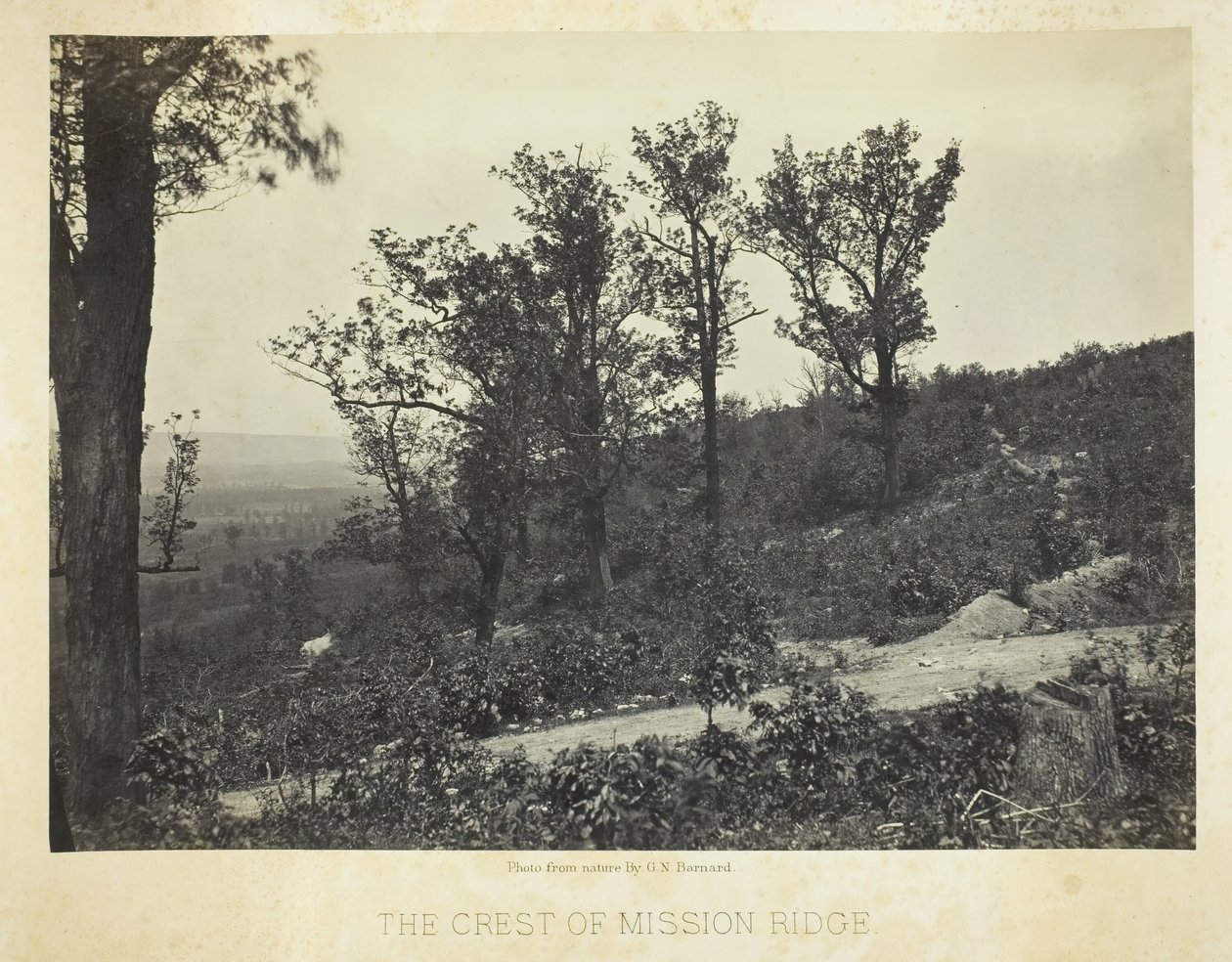 The Crest of Mission Ridge, 186466. av George N. Barnard