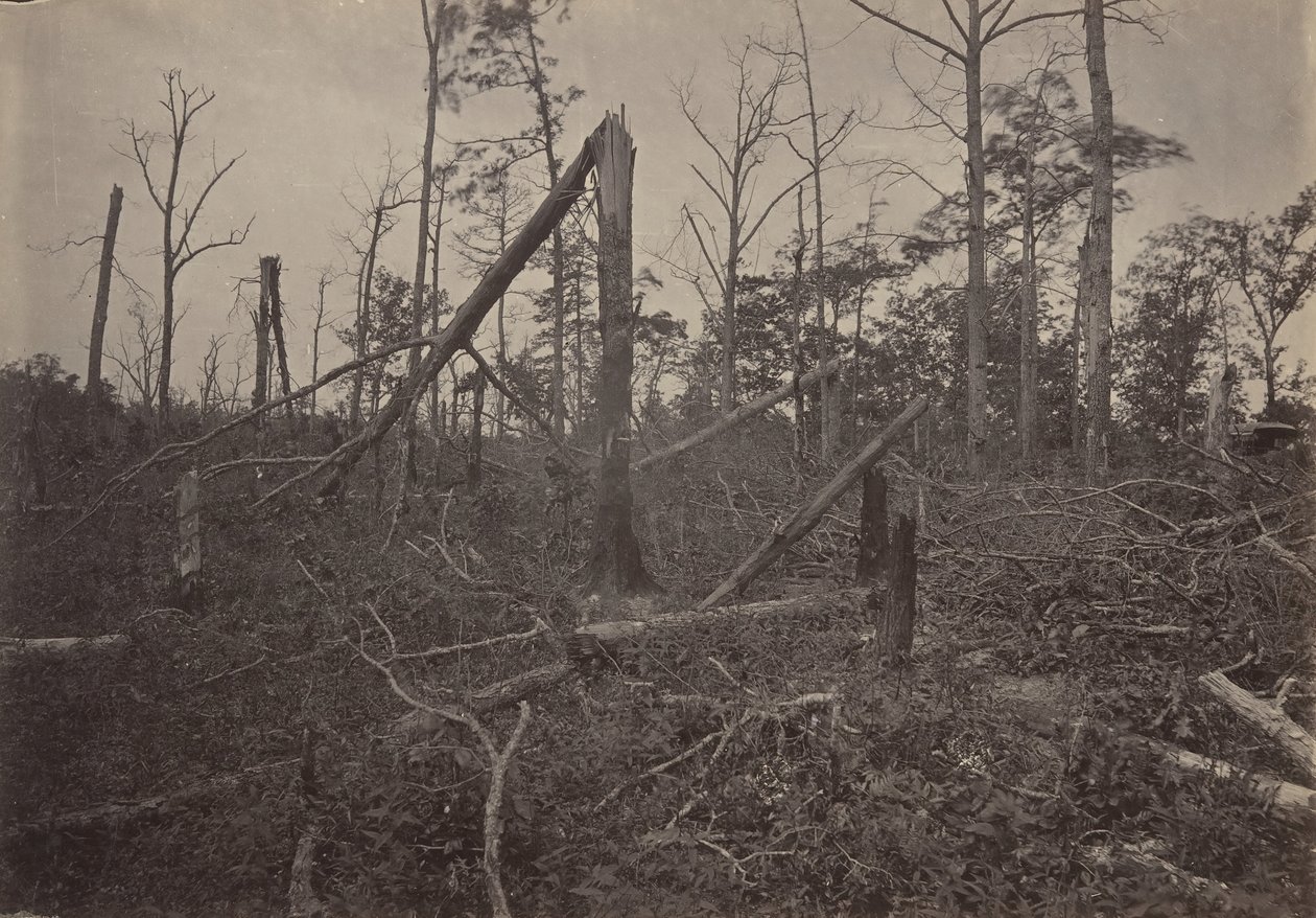 The Hell Hole New Hope Church, Georgia, 1860-talet. av George N. Barnard