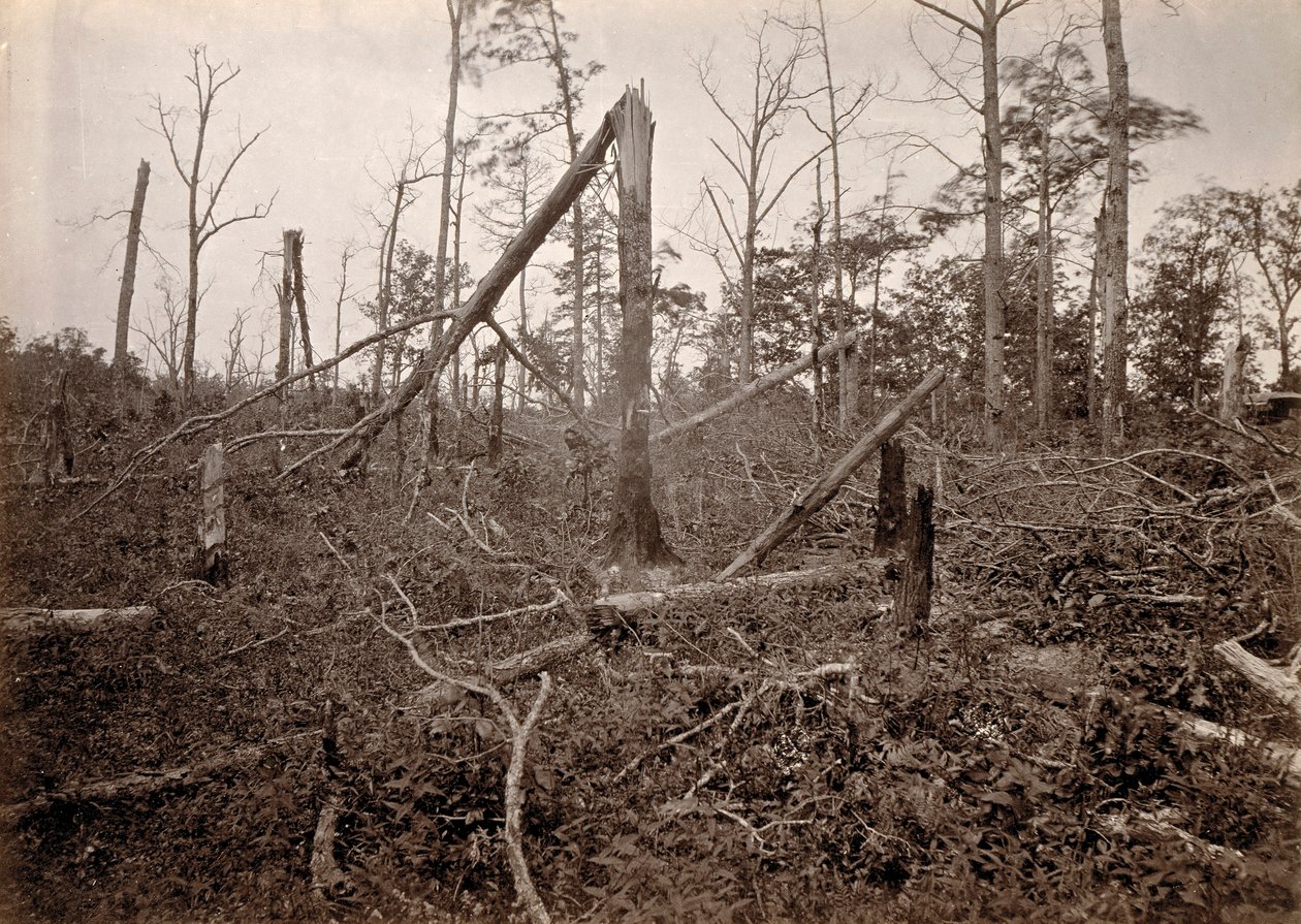"Hell Hole", New Hope Church, Georgia, från Photographic Views of Sherman