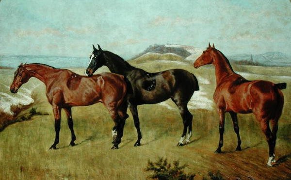 Tre hästar: Whissendine, Swallow och Tiptop av George Paice