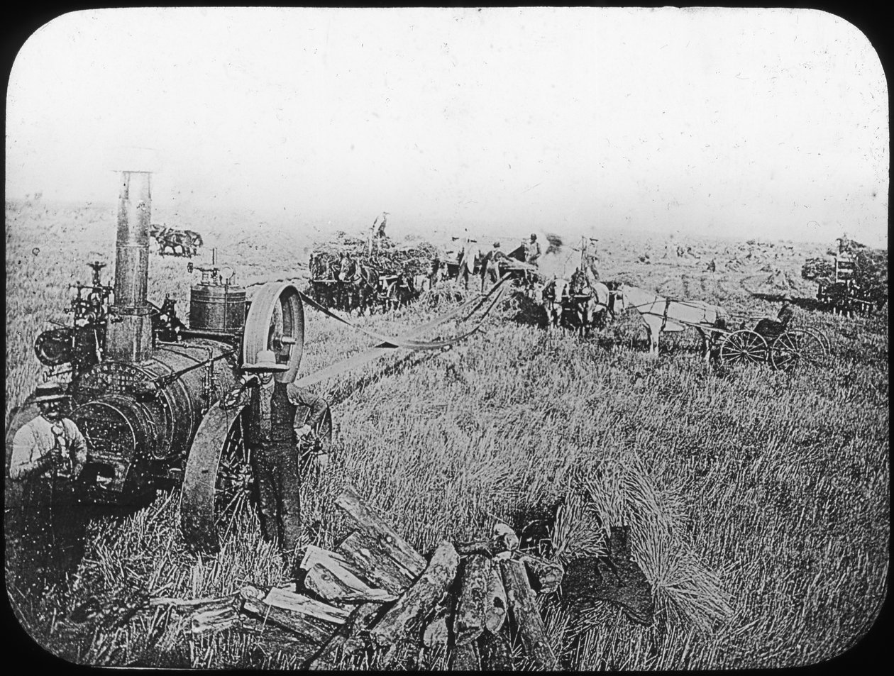 Skördescen på de nordamerikanska prärierna, sent 1800- eller tidigt 1900-tal av George Philip and Son Ltd