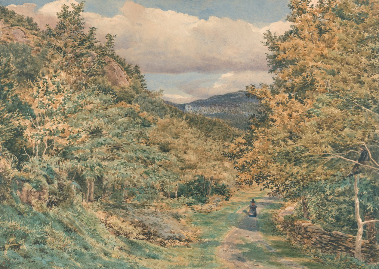 En väg nära Bettws-y-Coed av George Price Boyce