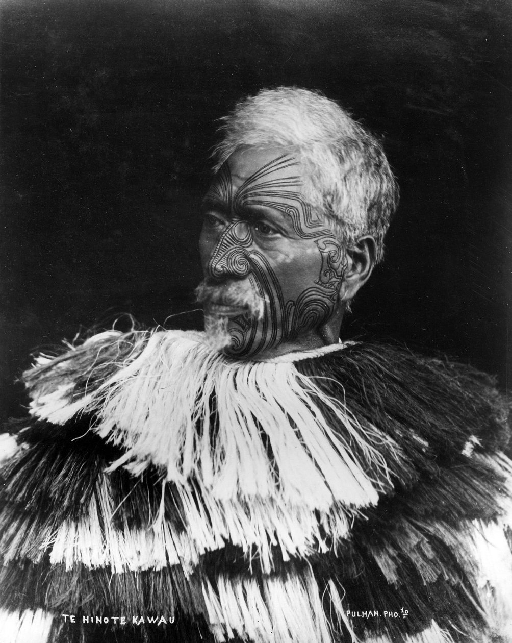 Te Hinote Kawau, ca 1860-71 av George Pulman